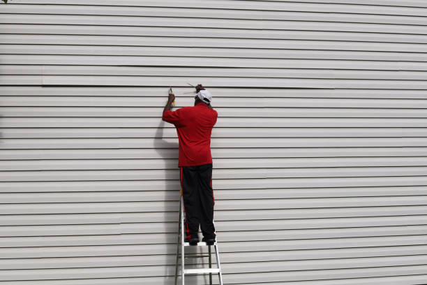Best Custom Trim and Detailing for Siding  in Eming Island, FL